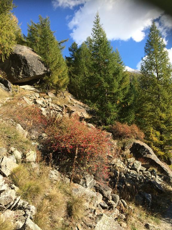 Appartamento Haus Alpenstern Saas-Grund