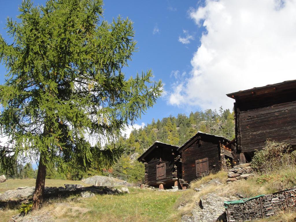 Haus Alpenstern Saas-Grund