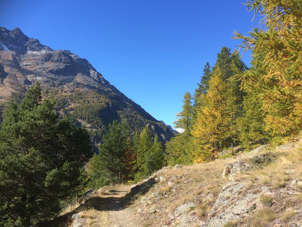 Appartamento Haus Alpenstern