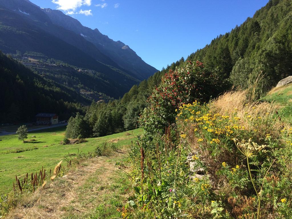 Haus Alpenstern Appartamento *