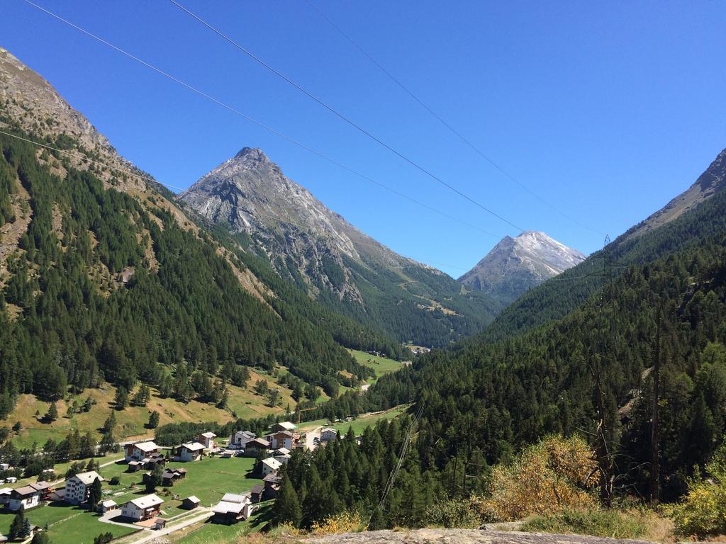 Haus Alpenstern Appartamento *