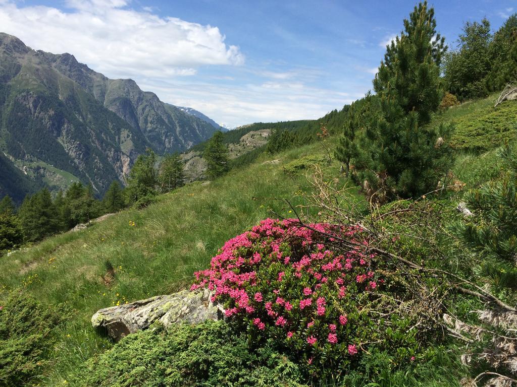 Appartamento Haus Alpenstern Saas-Grund