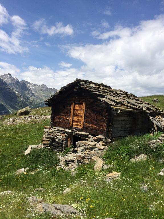 Haus Alpenstern Appartamento *