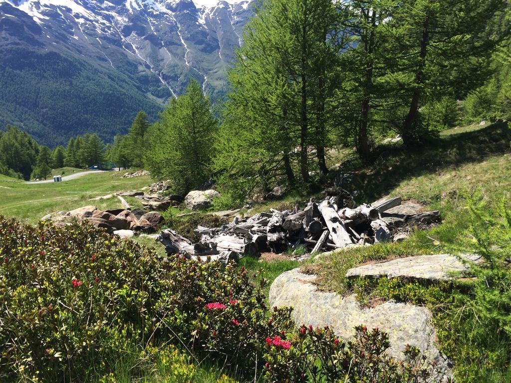 Haus Alpenstern *