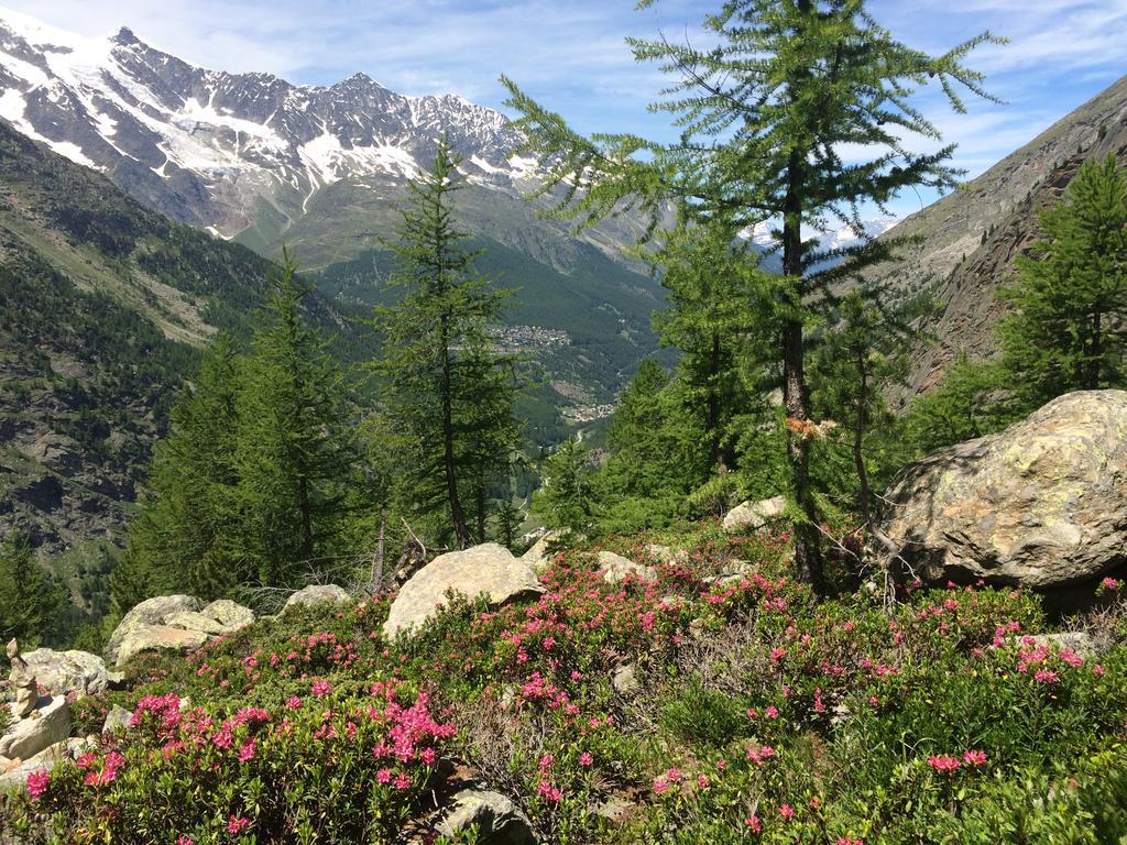 Appartement Haus Alpenstern *