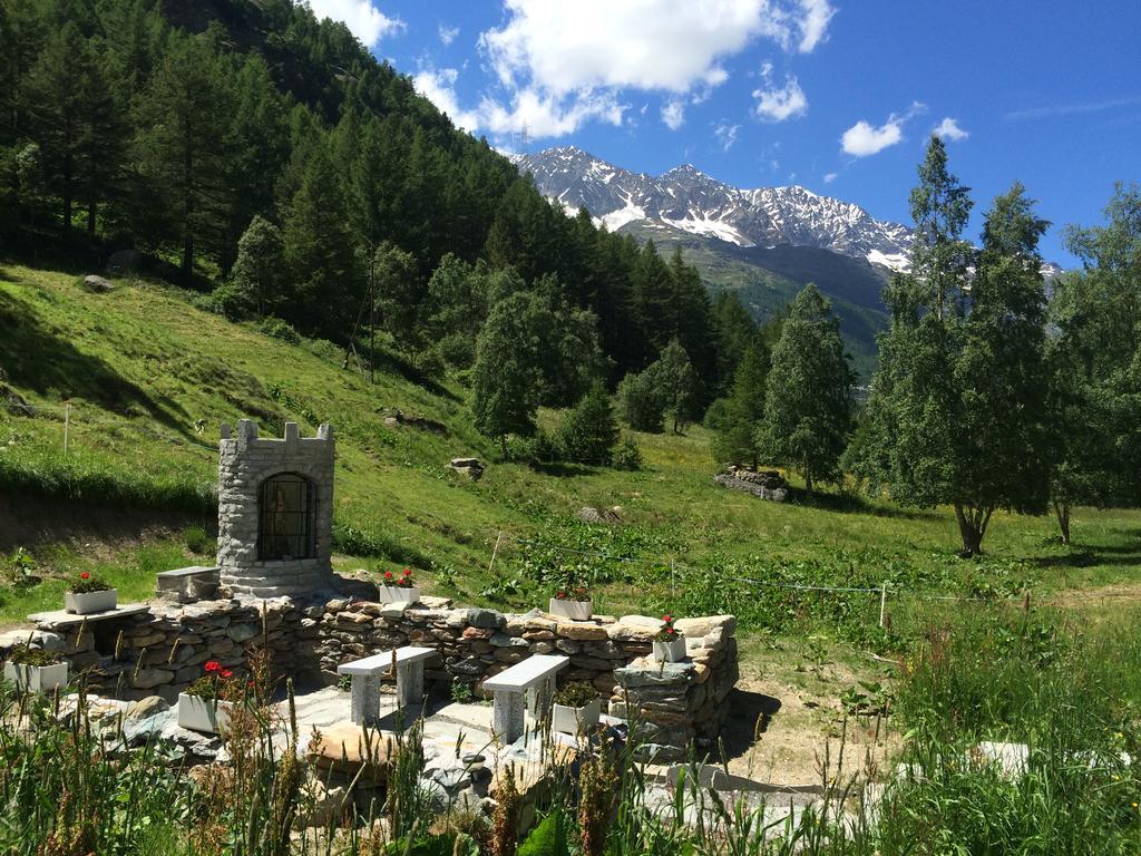 Haus Alpenstern Appartamento *