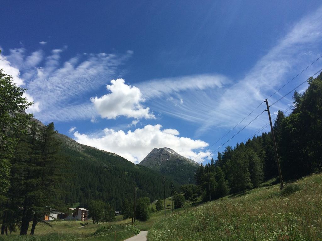 Haus Alpenstern Appartamento Saas-Grund